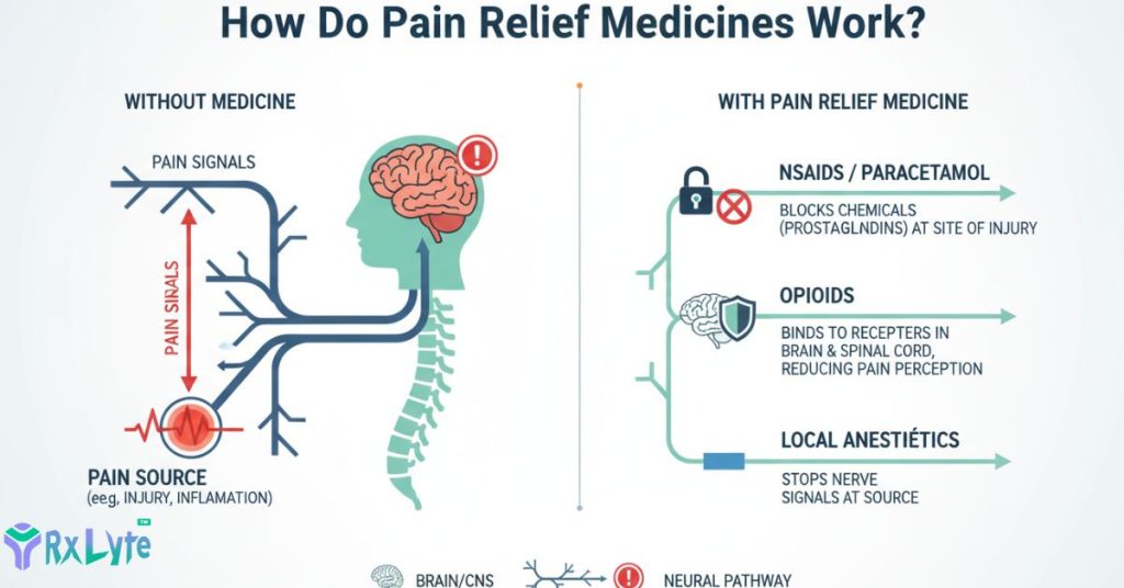 pain relief medicines mechanism of action infographic